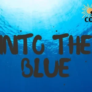 Into The Blue Massillon Summer Concert